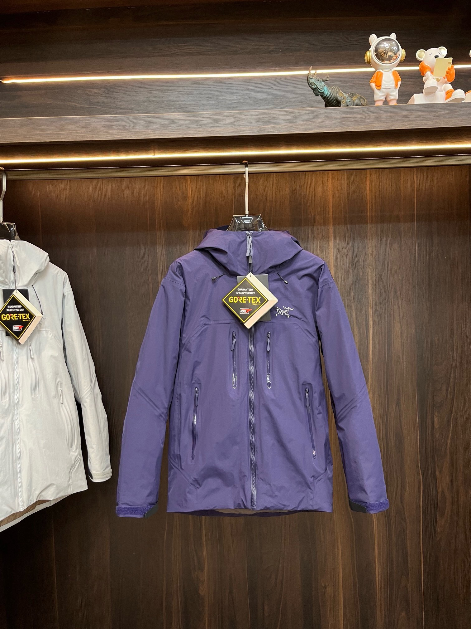 Arc'teryx Hoodie — 0810eff2 Angle 1