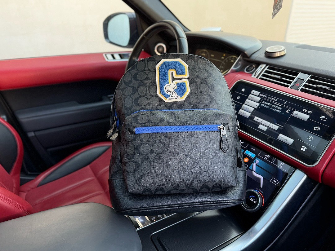 Designer Bags Coach — 487 Angle 1