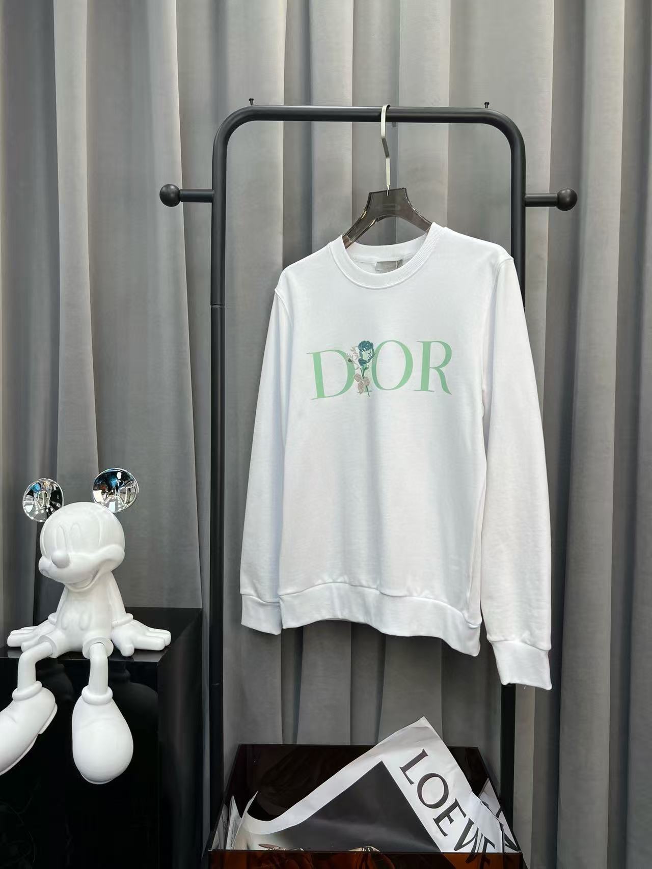 Dior Hoodie — 73101289 Angle 1