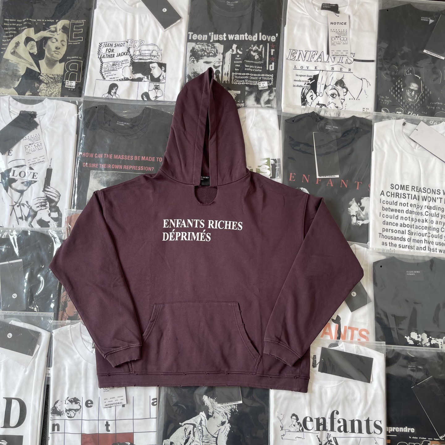 ERD Hoodie — 6aaa9556 Angle 1