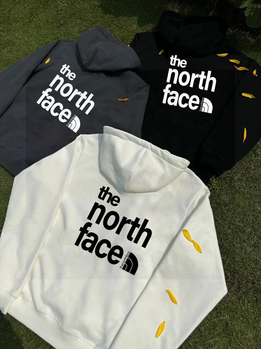 The North Face Hoodie — 14748ab4 Angle 1