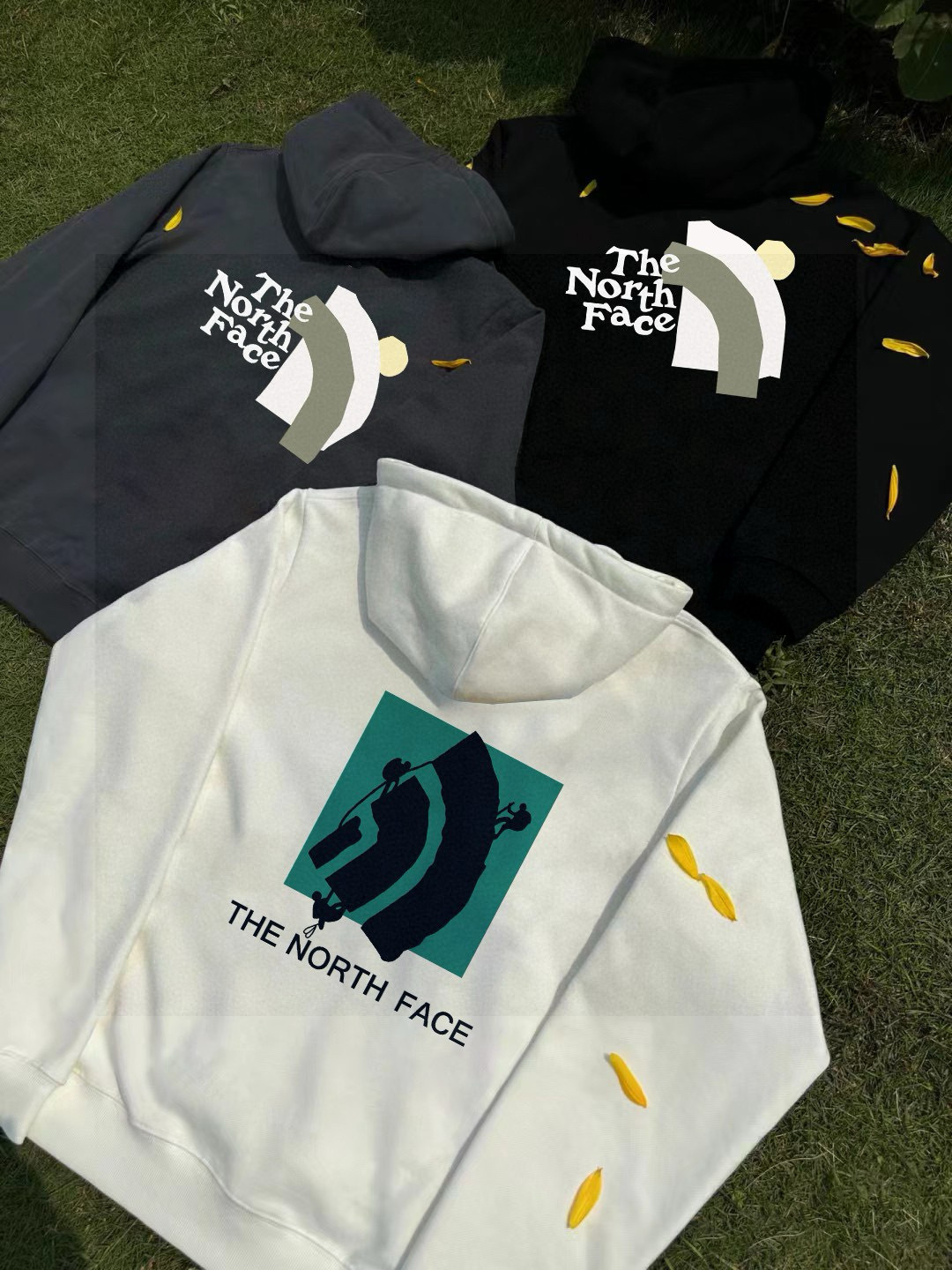 The North Face Hoodie — 461debd3 Angle 1
