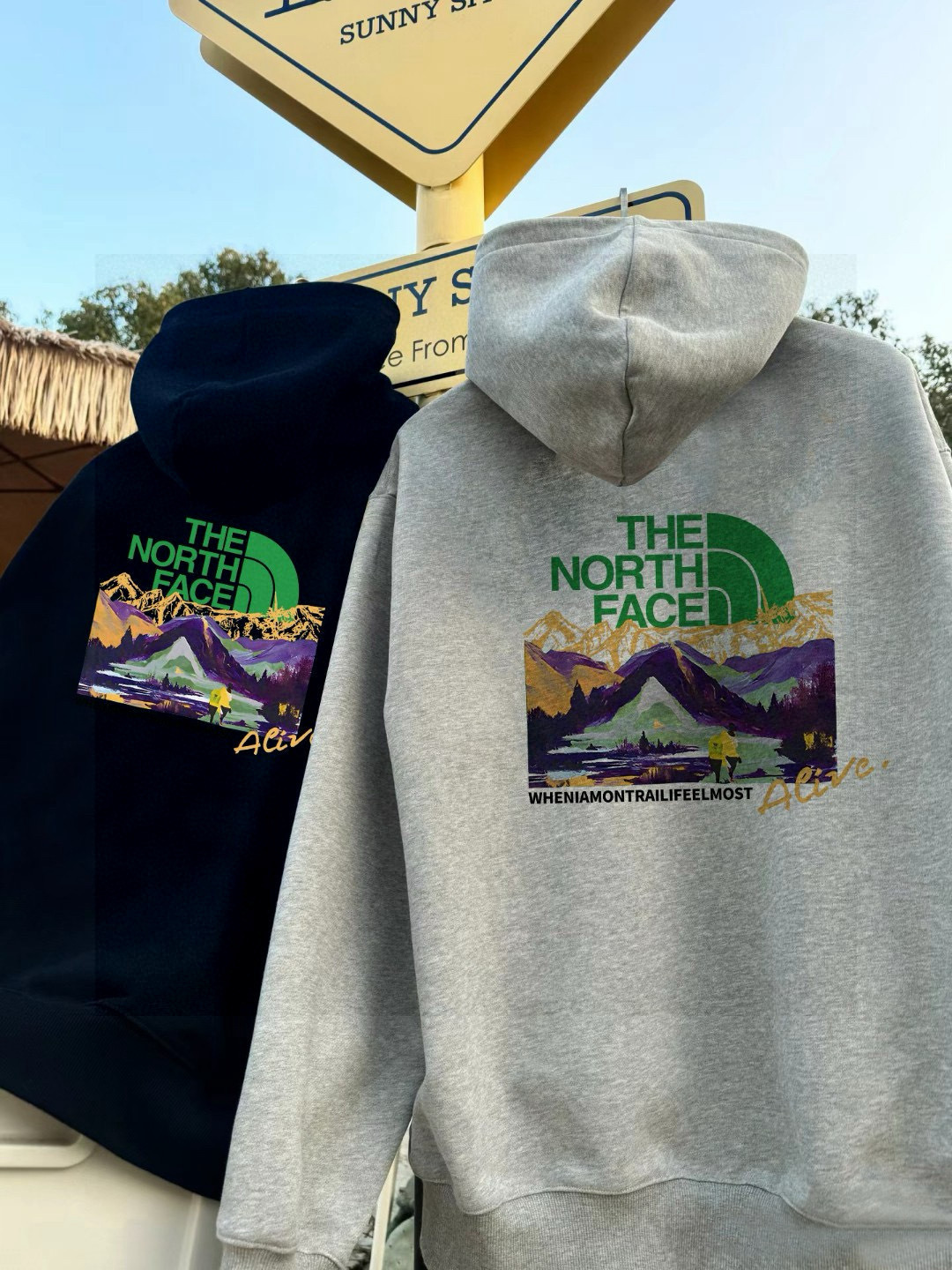The North Face Hoodie — 67cec546 Angle 1