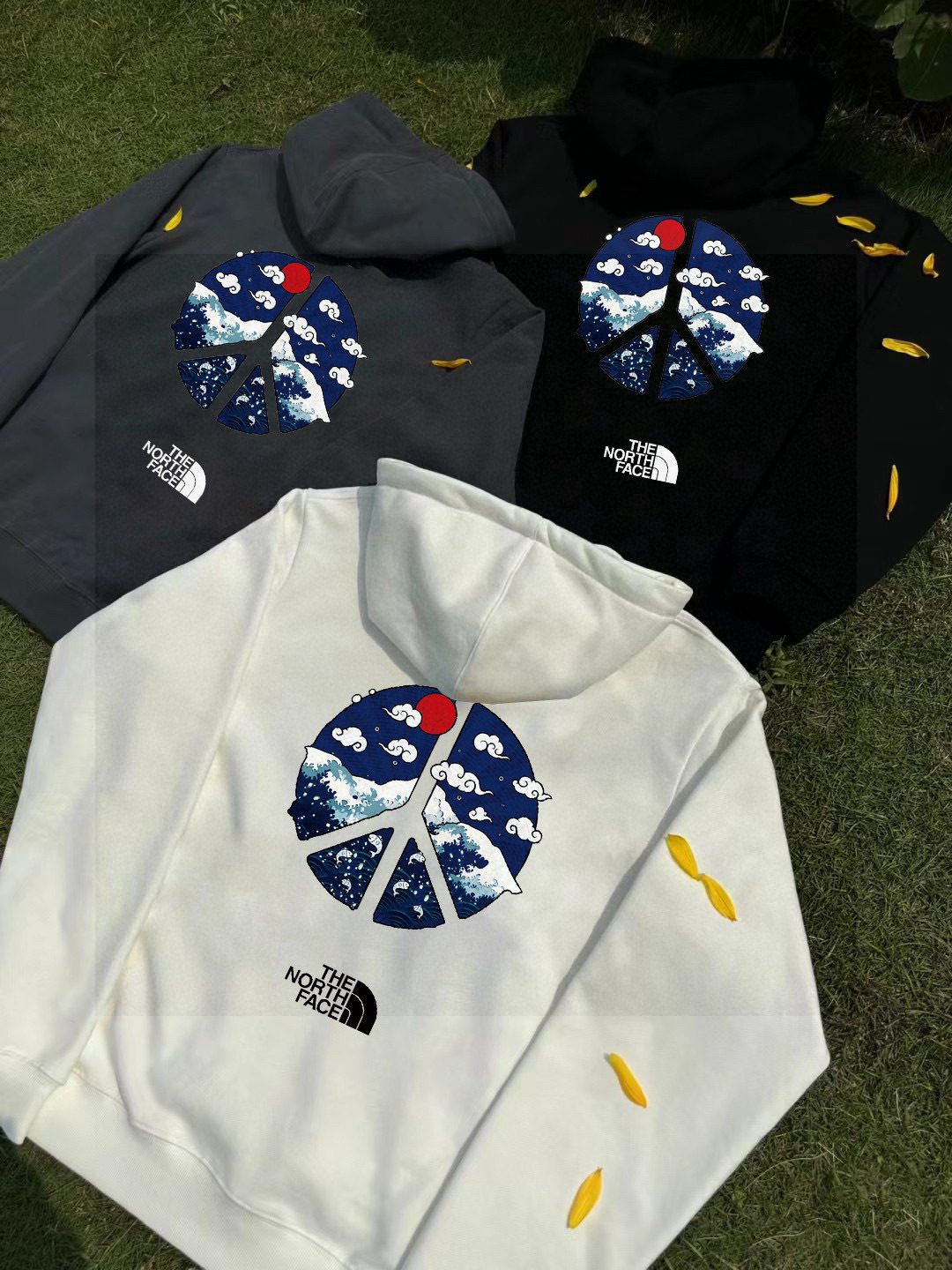 The North Face Hoodie — a0176e62 Angle 1