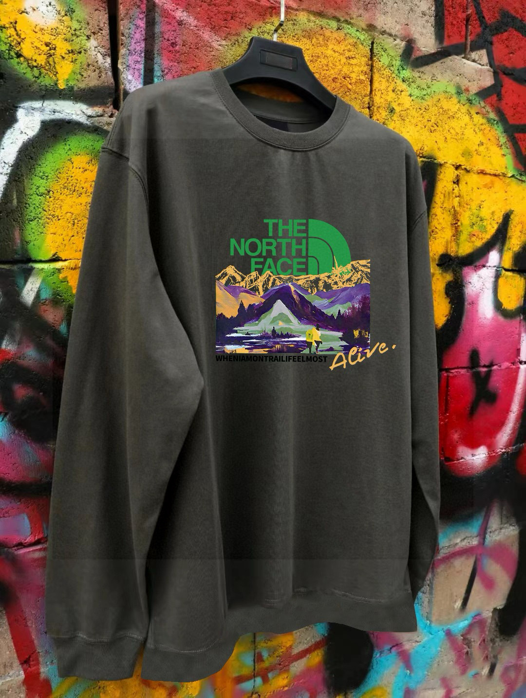 The North Face Hoodie — af313f2a Angle 1