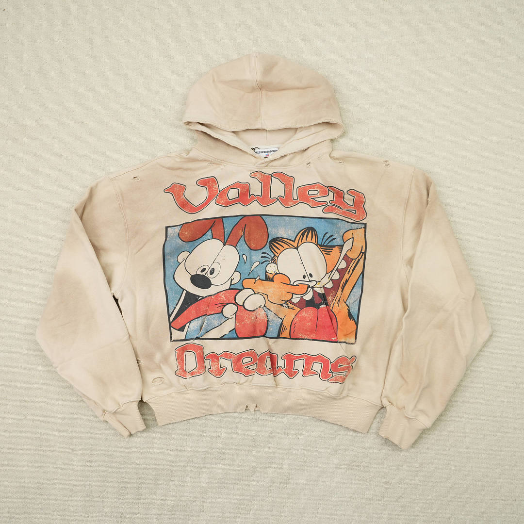Valley Hoodie — Hoodie Angle 1